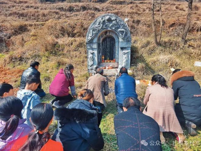 老人说“凯发国际坟头塌陷少子孙坟头有草家生金”什么草这么厉害？(图6)