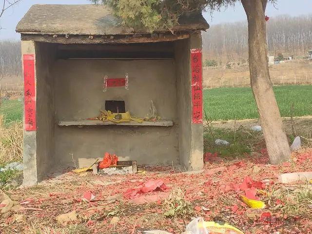 老人说“凯发国际坟头塌陷少子孙坟头有草家生金”什么草这么厉害？(图5)