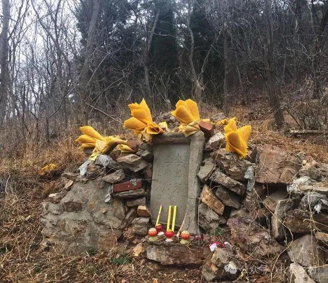 老人说“凯发国际坟头塌陷少子孙坟头有草家生金”什么草这么厉害？(图1)
