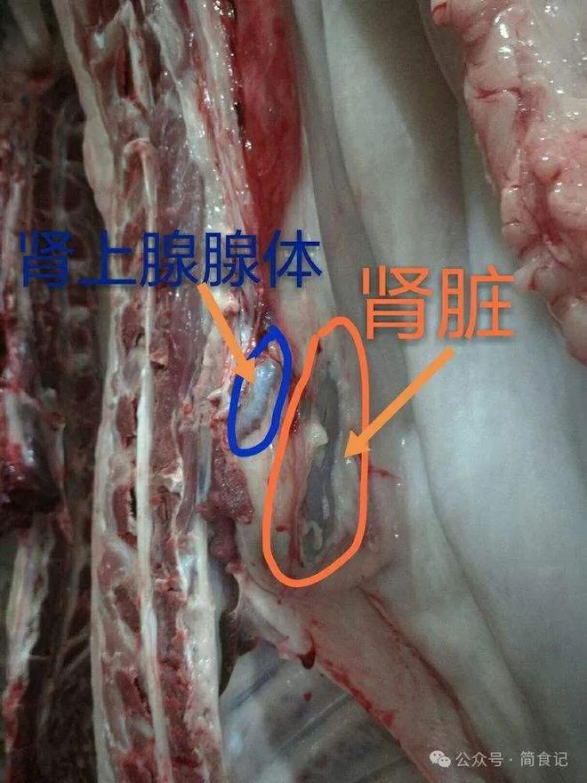 家里经常吃猪肉的要注意这3个部位宁可扔了也别吃要牢记(图8)