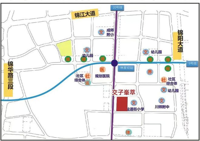 在成都｜年轻人会选择怎样的生活？K8国际入口(图12)