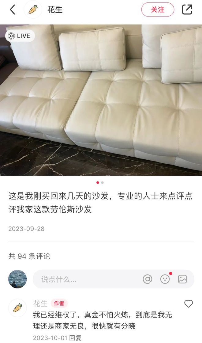 讲真真皮沙发我是真的不敢买了！(图12)