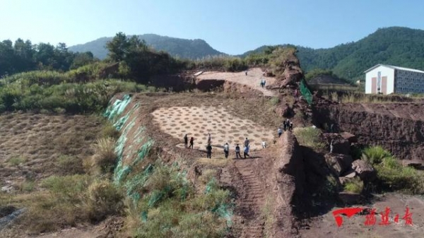 就在福建！全球重大发现！(图1)
