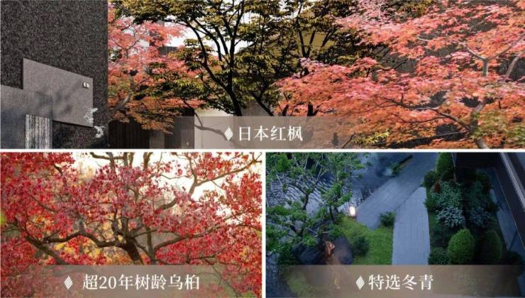 楼市再出利好龙湖佛山御湖境2024佛山楼市置业最优选!(图10)