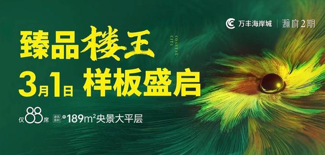 凯发国际2024深圳万丰海岸城瀚府二期！海岸城瀚府二期住宅全新图文解析(图14)