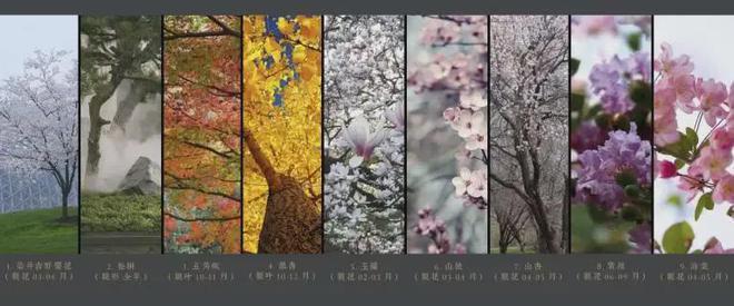 通州「万科东庐」售楼处(发布)2024首页丨售楼处地址价格(图13)
