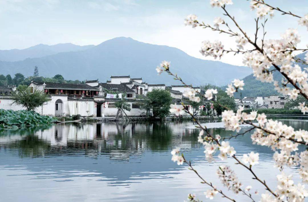 【悦悦的小K8国际入口攻略】天下奇山黄山(图3)