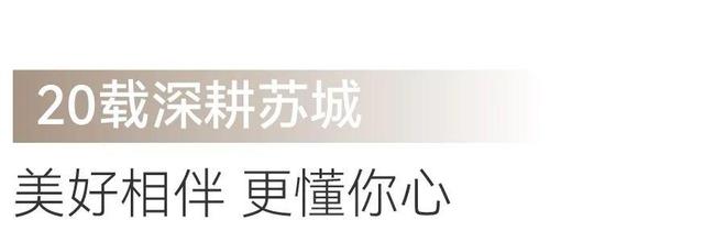 凯发国际中海狮山云起售楼处电线-中海狮山云起楼盘百科详情(图5)