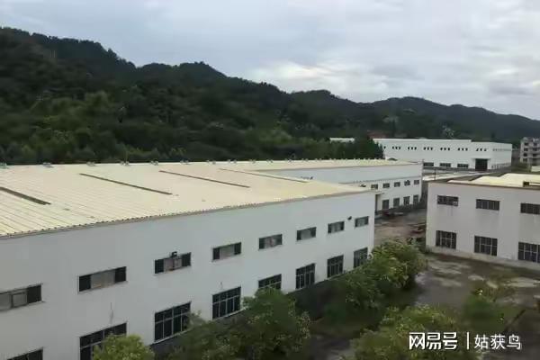 恭喜啊！龙岩市新罗区的一座大型工厂拍卖被人以2475万元竞得！(图1)