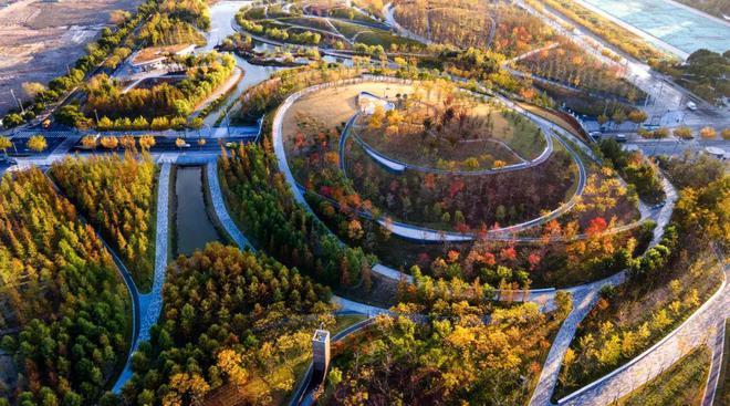 普陀金茂府2024网站售楼处电话预约！凯发国际(图10)