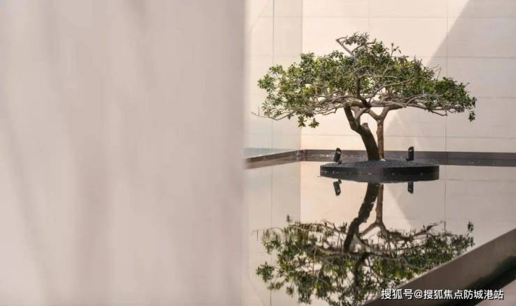 广州西派澜岸(西派澜岸)首页网站丨楼盘详情_房价_户型_详情(图4)