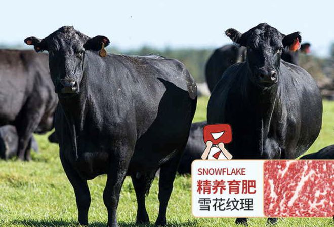 姐妹们你真的应该多吃肉！凯发国际(图11)