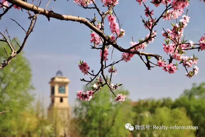 鲁能格拉斯小镇售楼处（发布）2024首页-最新详情-楼盘百科凯发国际首页(图13)