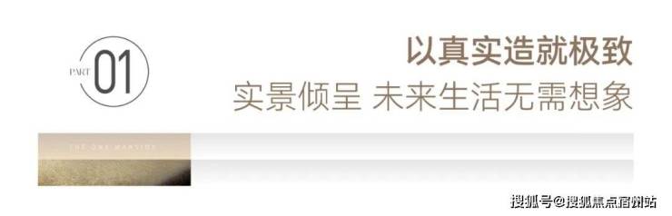 嘉兴南湖「苏嘉玖晟园」精致、高级、有品位。(图25)