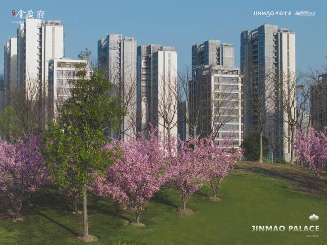 普陀金茂府网站-202凯发国际4最新房价·普陀金茂府最新详情！(图13)