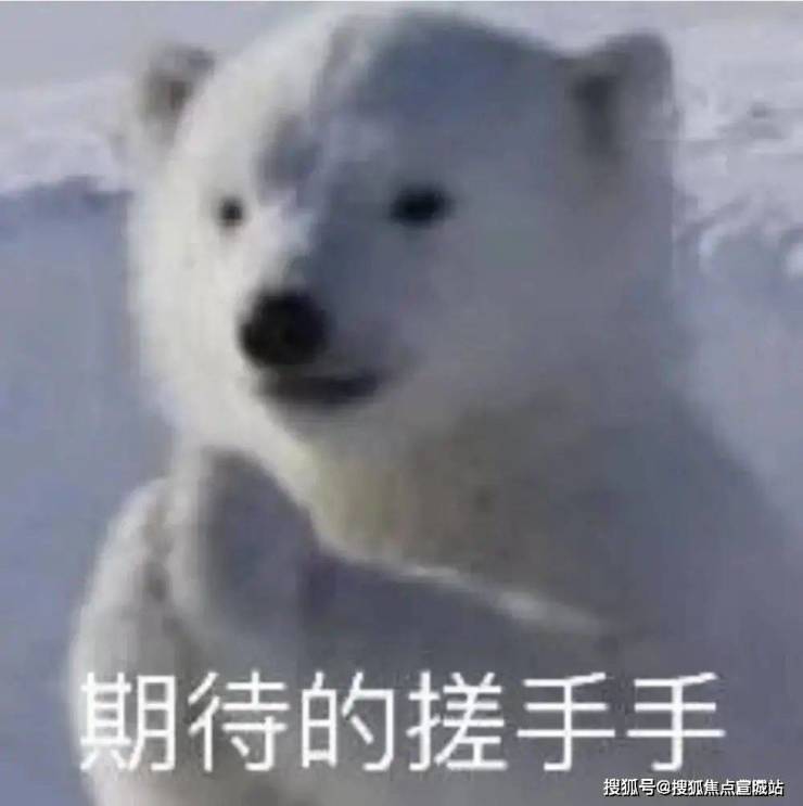 浦岸花园(售楼处)首页网站-浦岸花园--欢迎您楼盘(图3)