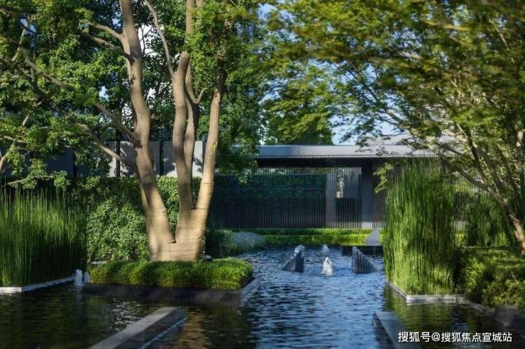 保利世博天悦首页网站(售楼处)保利世博天悦售楼处欢迎您楼盘详情(图30)