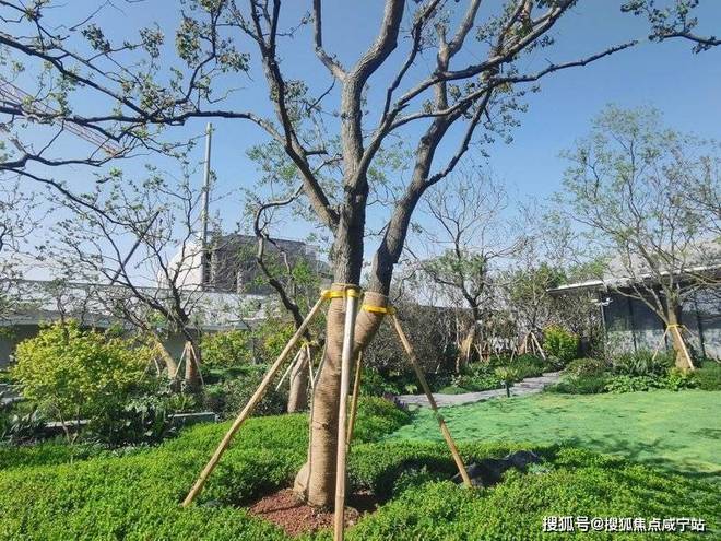 招商时代乐章（网站）招商时代乐章2024最新房源房价曝光(图1)