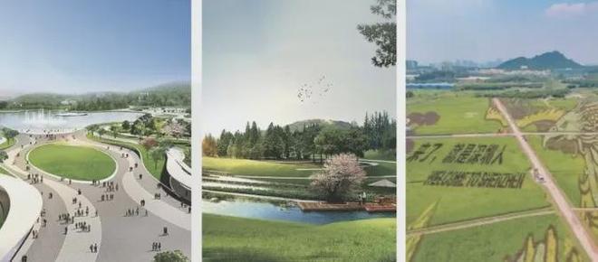 2024年7月深圳金地峰境誉府（通知）最新楼盘简介(图7)