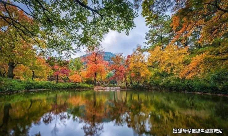 苏州樾府售楼处(2024年苏州樾府)首页网站-欢迎您楼盘详凯发国际情-户型配套(图5)