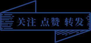 价值2000万美元的新游艇与圣特罗佩码头相撞(图8)