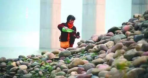 凯发国际首页【石头地理】教你捡石头捡你真的会吗？平时路边铺的有哪些吗？(图7)