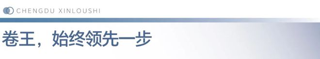 三分天下这是成都豪宅的一次革命性迭新(图7)