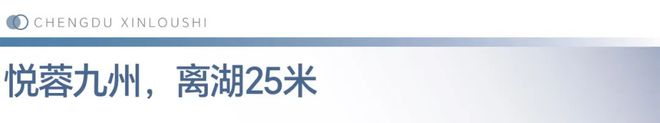 三分天下这是成都豪宅的一次革命性迭新(图12)
