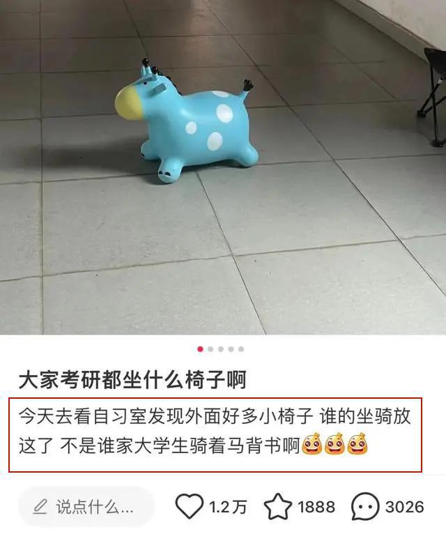 考研女生的“战马”走红成减压新宠网友：停马场都有了(图2)