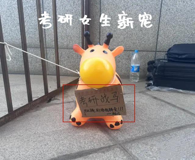 考研女生的“战马”走红成减压新宠网友：停马场都有了(图3)