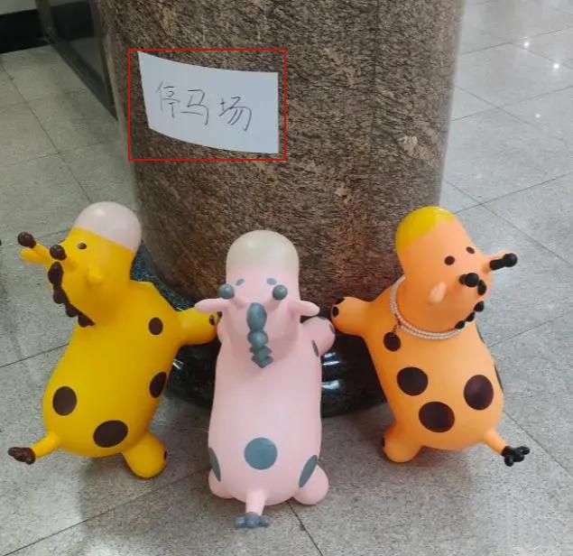 考研女生的“战马”走红成减压新宠网友：停马场都有了(图5)