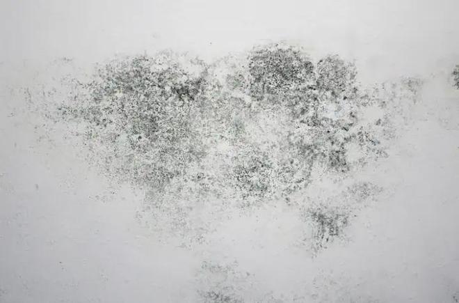 厨房清洁这些“偷懒”技巧你居然没发现！(图6)