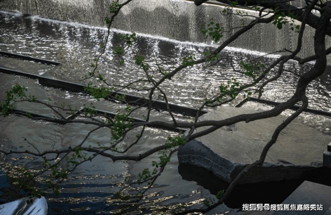 花语前湾-首页网站-2024-花语前K8国际入口湾-楼盘详情-上海房天下(图8)