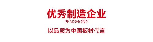 三冠问鼎鹏鸿揽获“中国板材国家品牌”等国字号殊荣(图8)