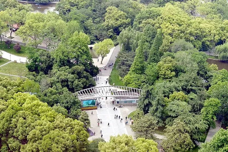 凯发国际百年中山公园还有这么多故事……(图6)