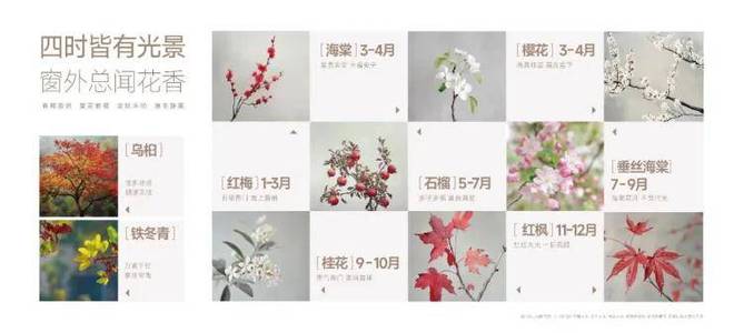 古美阅华（2024年上海古美·阅华）网站-·楼盘详情(图12)