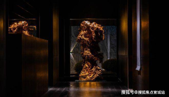 2025一文读懂露香园天誉‍优缺点!分析一下露香园天誉‍值得买吗？(图18)