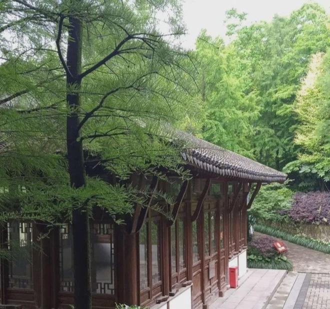 K8国际入口威兰国际中心(上海嘉定V7公寓·威兰商业街区)精装纯居住公寓(图3)