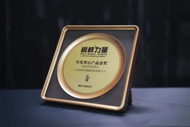 凯发国际首页榜样力量〡塞斯托奢石瓷砖荣膺2024年度奢石类产品金奖！(图1)