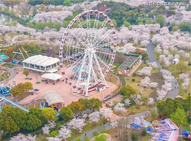 ◈中建山水雅境宝山中建山水雅境售楼处发布：欲购从速！(图45)