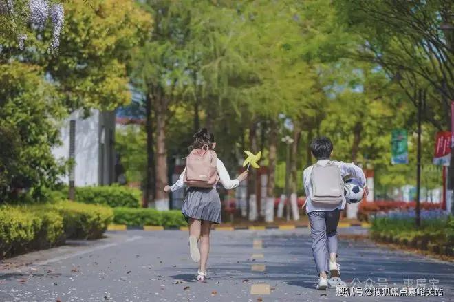 K8国际入口大华公园柏翠网站-大华公园柏翠2024最新房价＋户型＋房天下(图20)