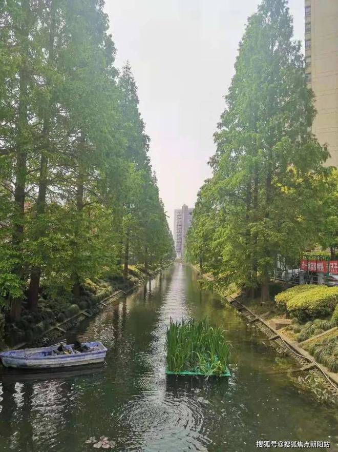 1300万起！抢驻闵行古北99奢享国际住区精装美宅(图18)
