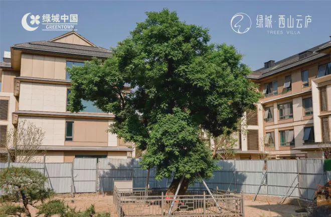 西山云庐售楼处-凯发国际西山云庐网站-2025新首页欢迎您-北京房天下(图5)