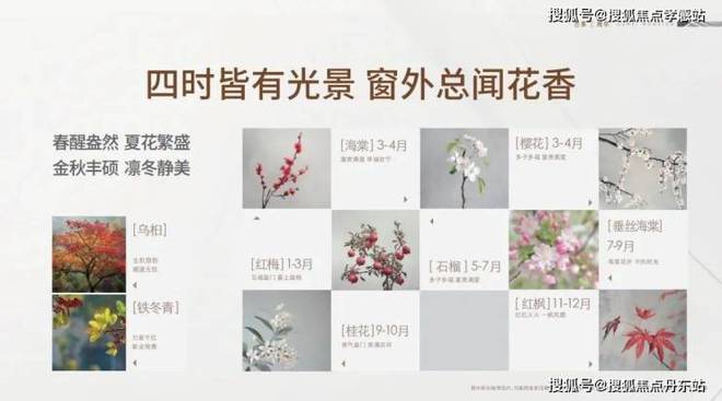 『古美阅华』2024网站-古美阅华详情(图15)