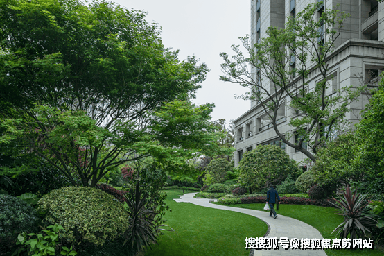 凯发国际普陀金茂府首页网站-2024普陀金茂府最新房价户型+小区环境+配套(图3)