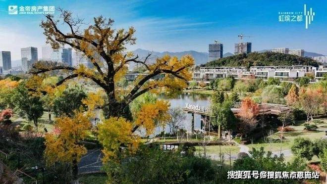 虹缤之都2024首页网站-虹缤之都-楼盘详情--2024楼盘详情(图15)