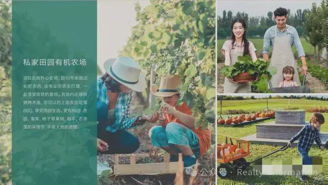 鲁能格拉斯小镇(售楼处)首页-2025格拉斯小镇最新网站欢迎您(图6)