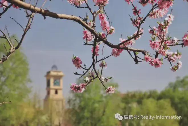 鲁能格拉斯小镇(售楼处)首页-2025格拉斯小镇最新网站欢迎您(图12)