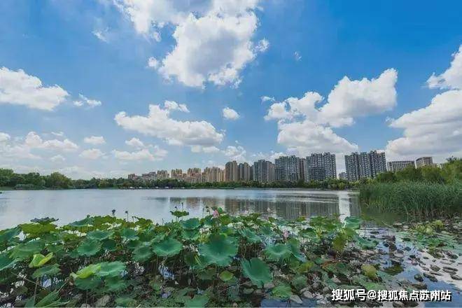 虹桥璀璨领峯(售楼处)首页网站-2025楼盘评测_虹桥璀璨领峯售楼处样板间价格户型(图2)