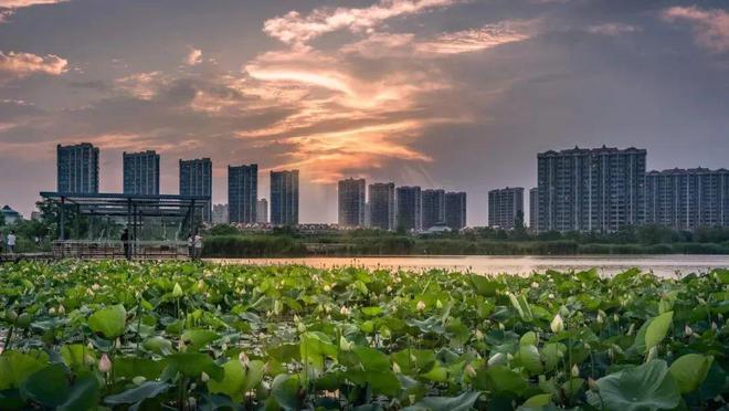 象屿同进虹桥嘉悦府2025评测：南翔虹桥嘉悦府优缺点分析-房价！(图8)